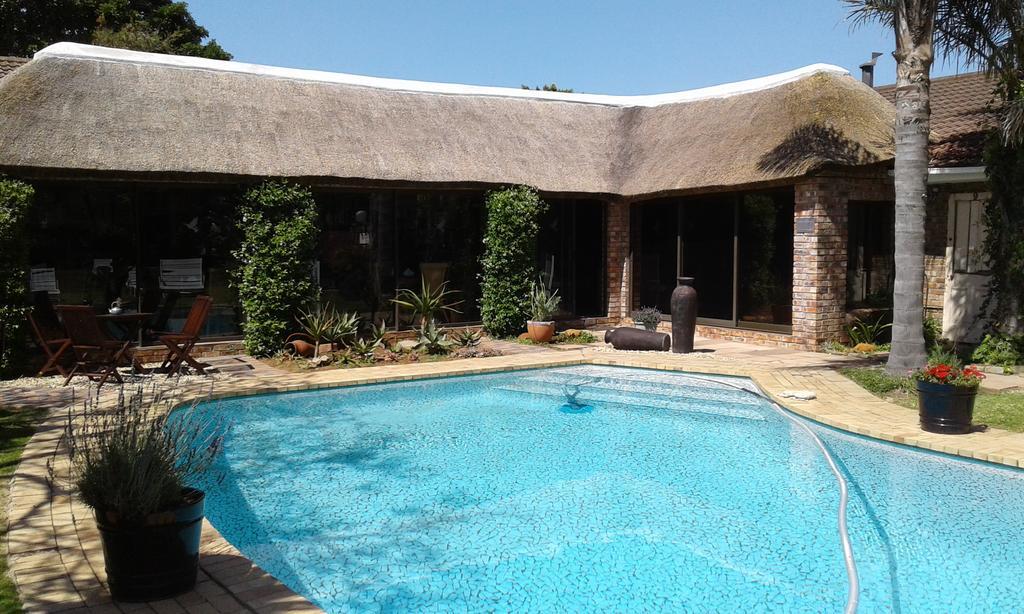 Amani Guest Lodge Port Elizabeth Exterior photo